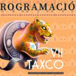 programacion-taxco